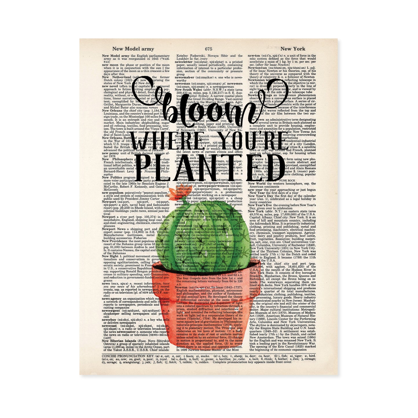 Bloom Where You're Planted