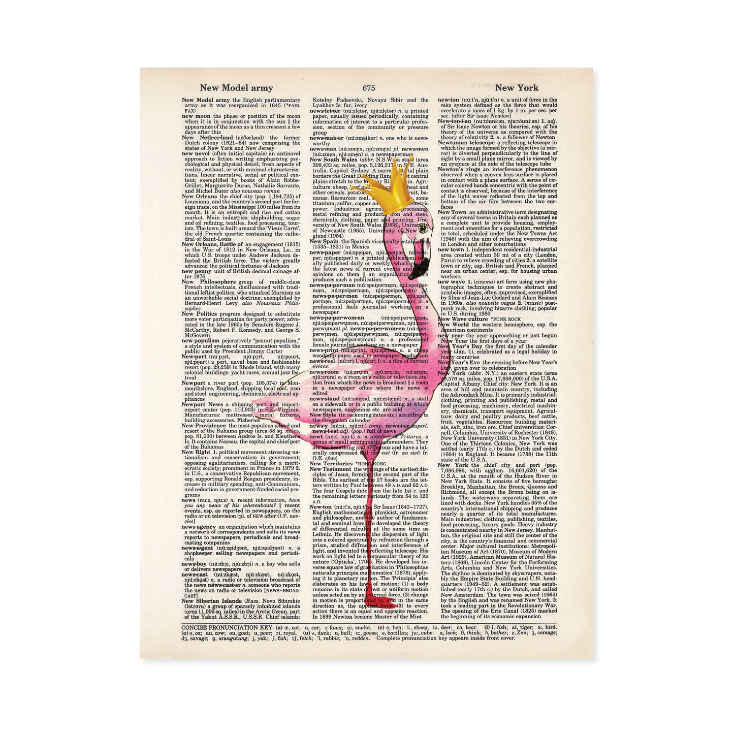 Flamingo with Golden Crown