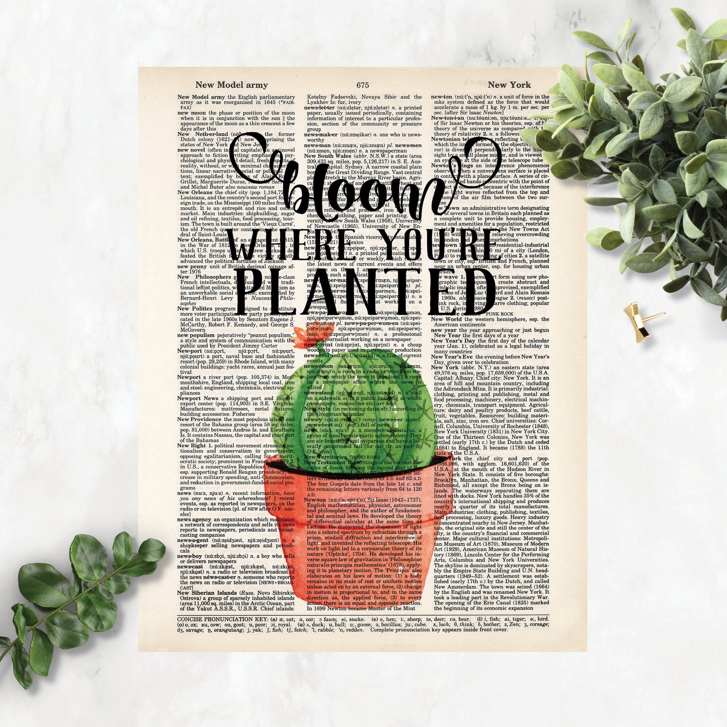 Bloom Where You're Planted