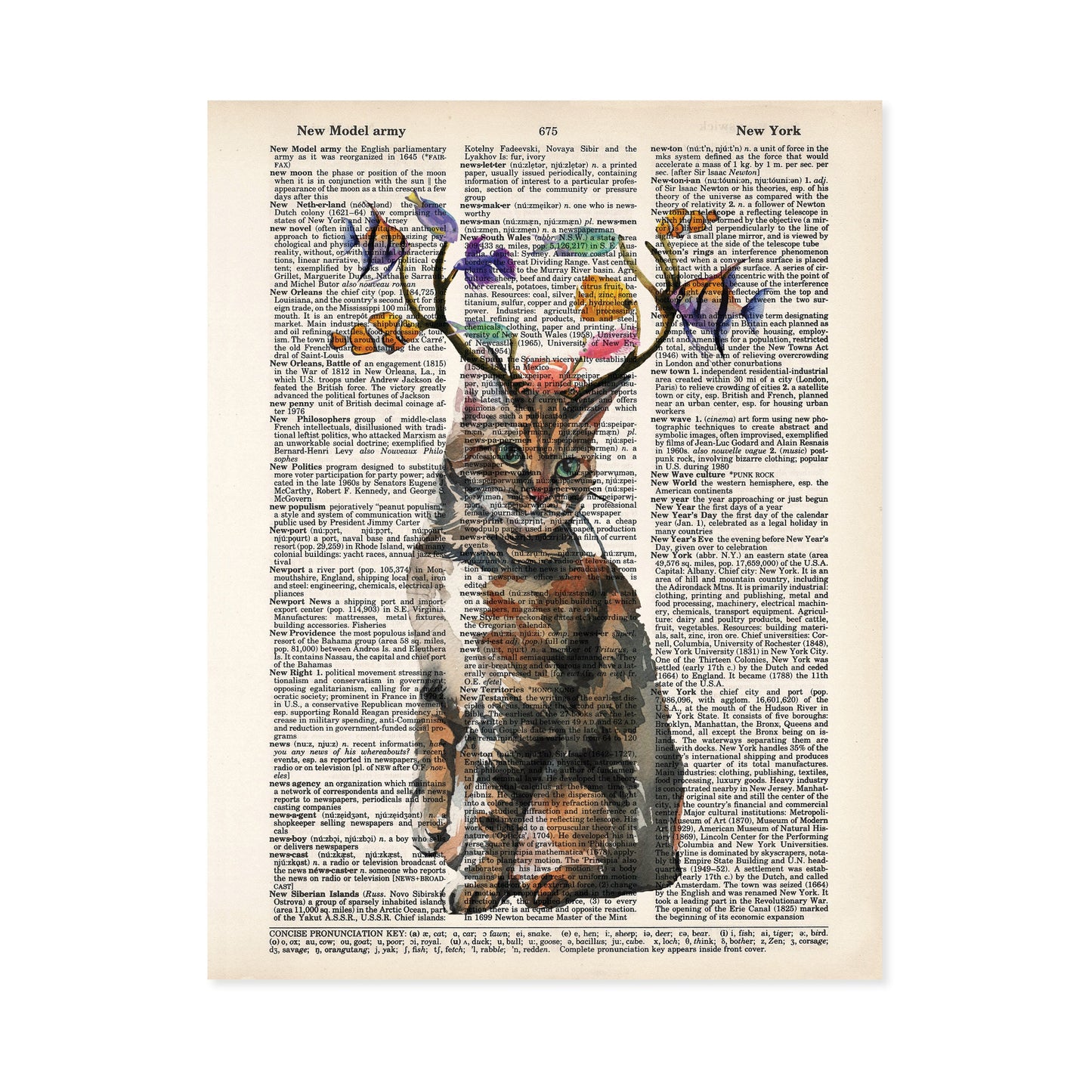 Cat with Fish Antlers