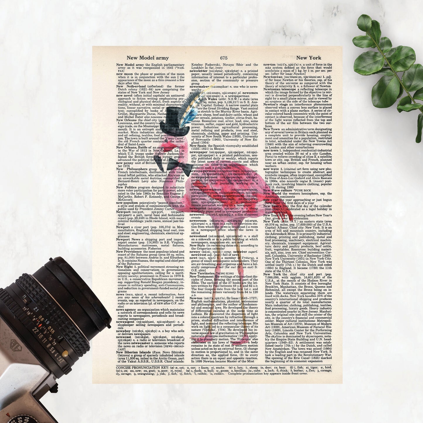 Flamingo with Top Hat