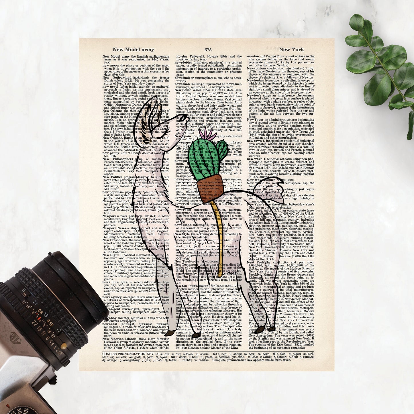 Llama and Cactus