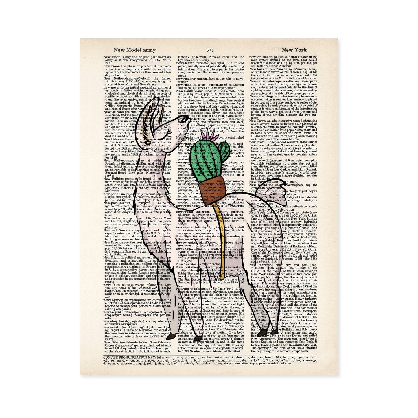 Llama and Cactus