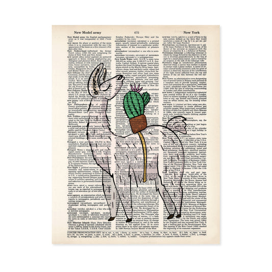 Llama and Cactus