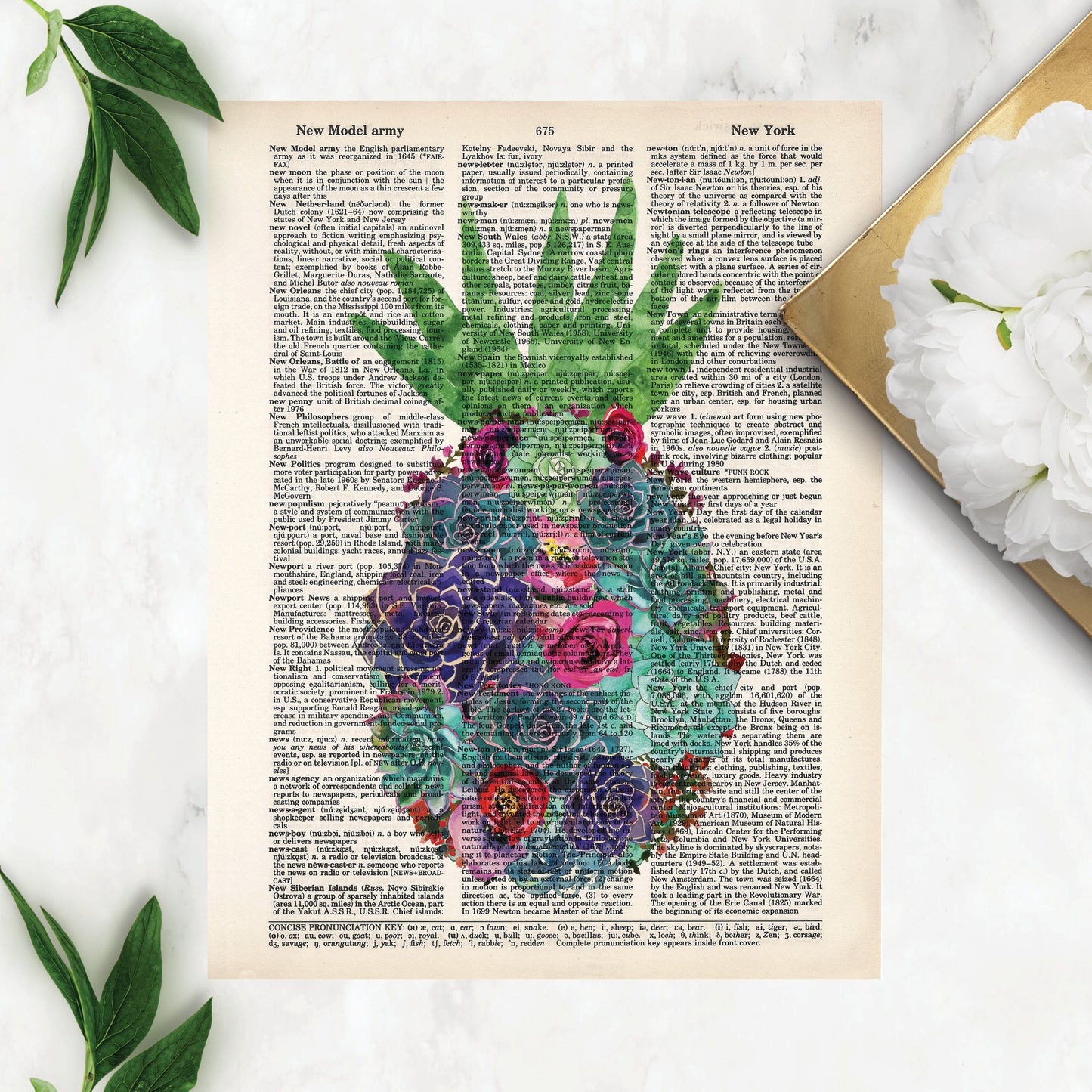 Pineapple Succulents