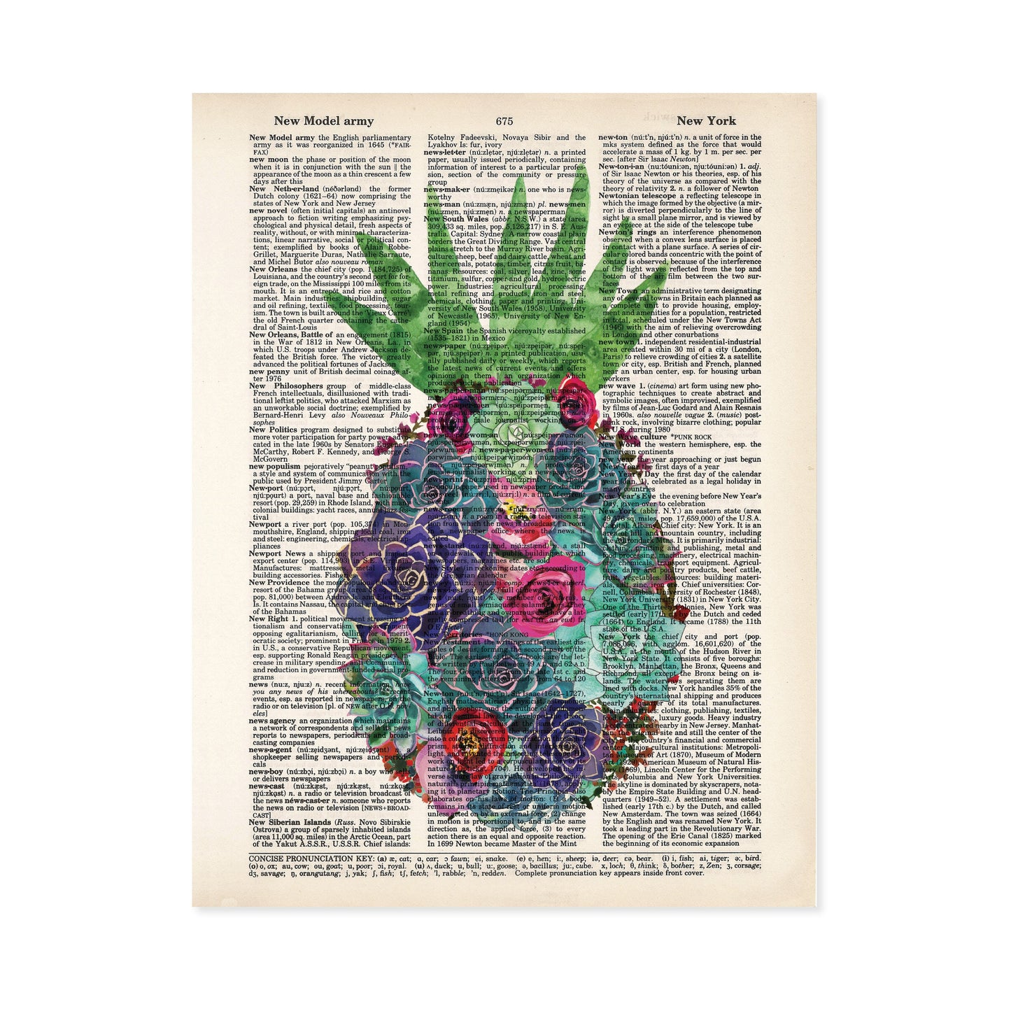 Pineapple Succulents