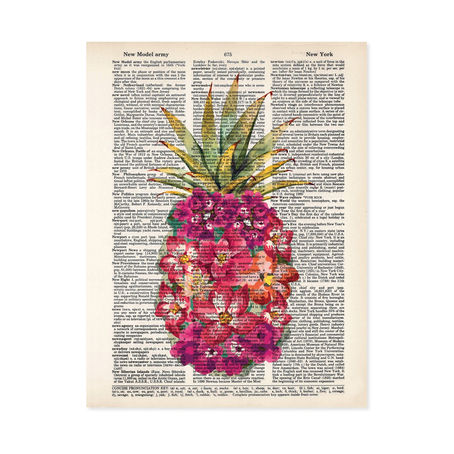Pineapple Pink Tropical Flowers