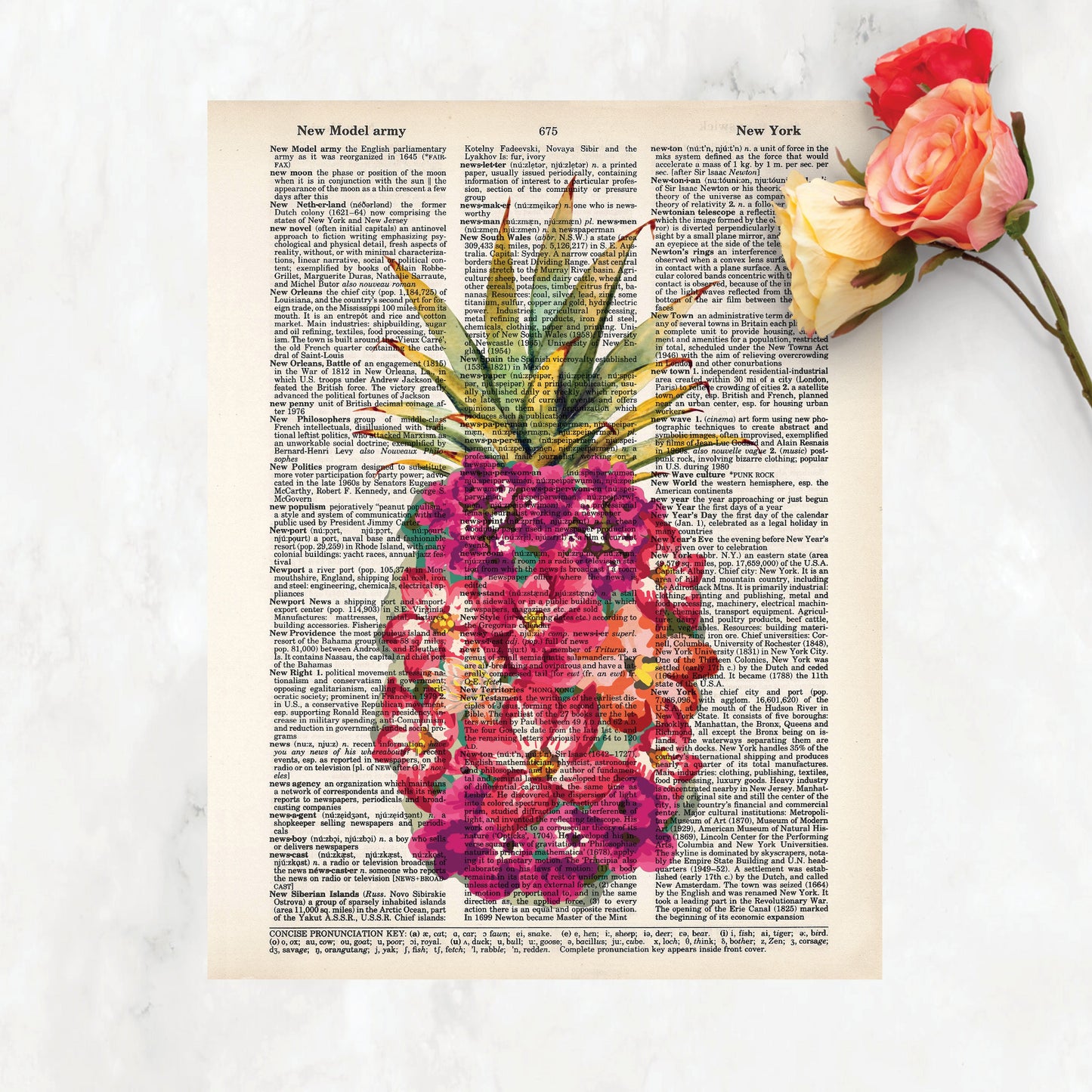 Pineapple Pink Tropical Flowers