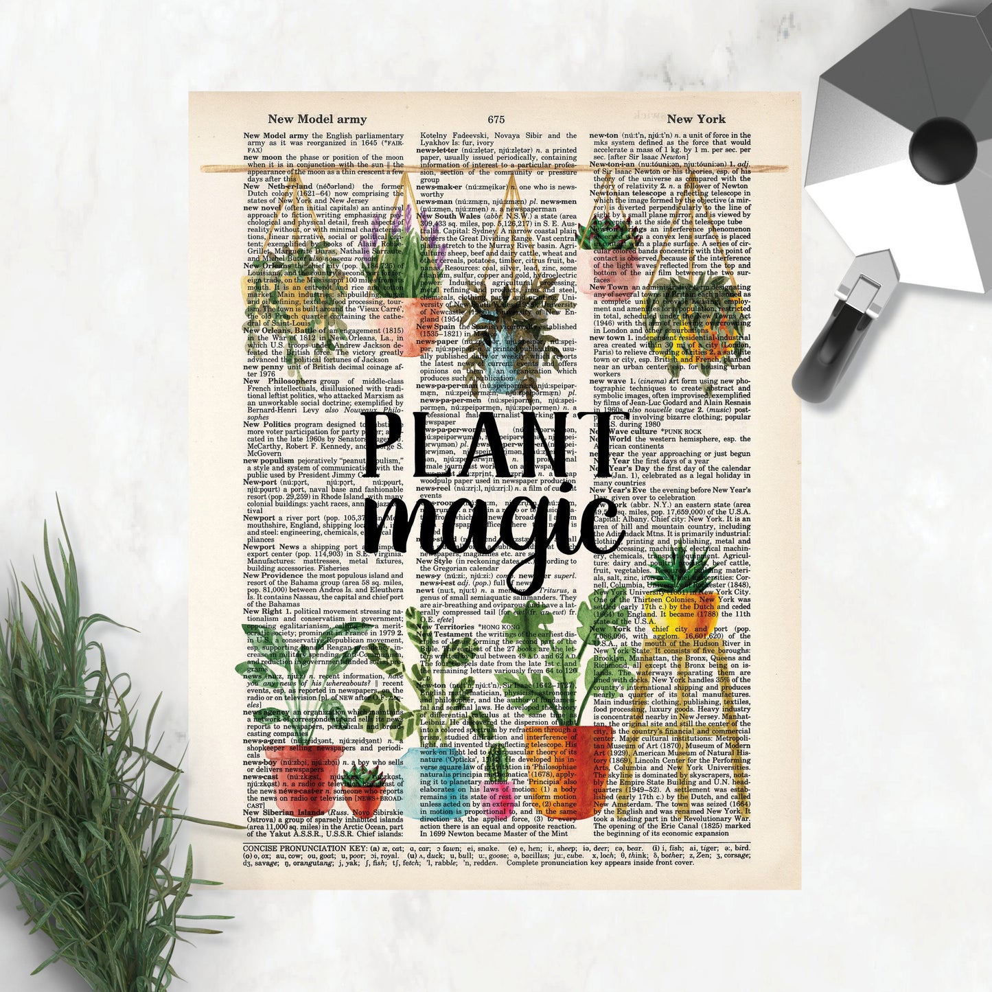Plant Magic