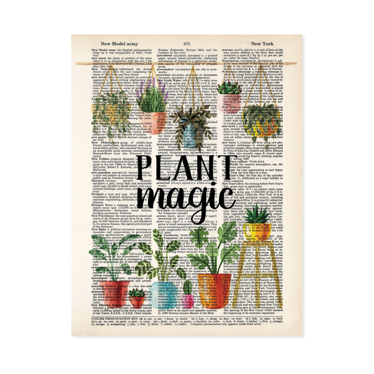Plant Magic