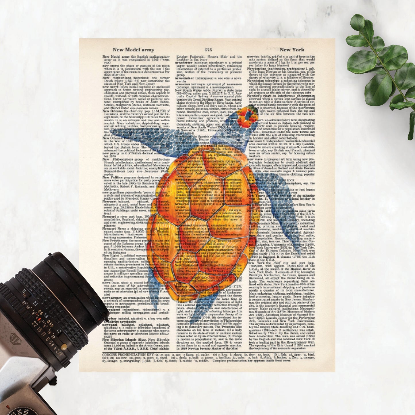 Watercolor Sea Turtle