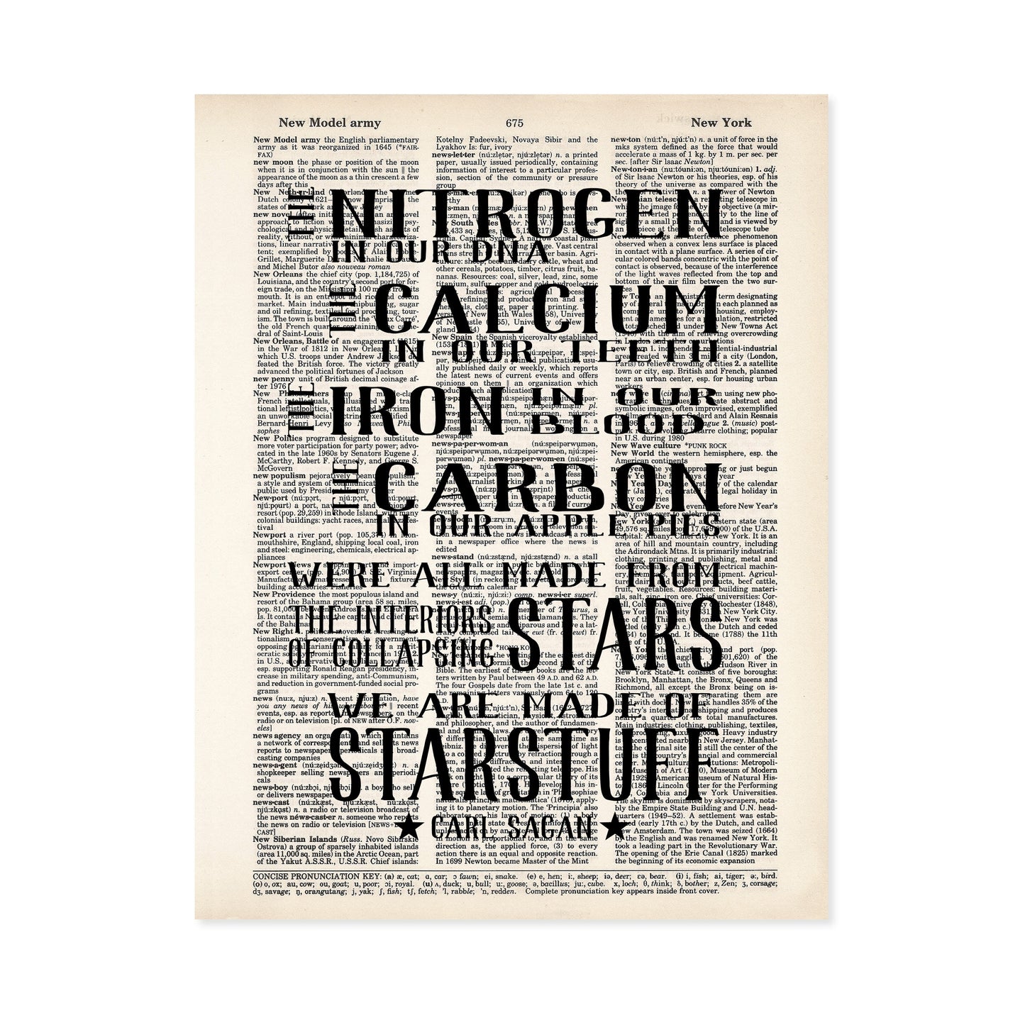The Nitrogen In Our DNA We Are Made of Star Stuff - Carl Sagan quote