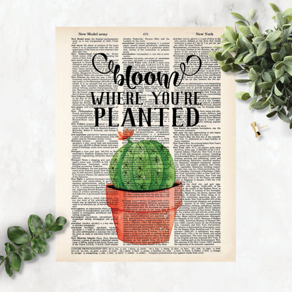 Bloom Where You're Planted